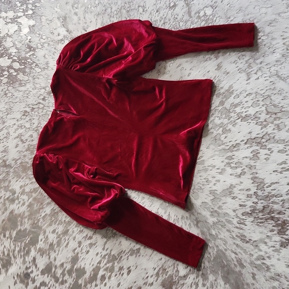 Anthropologie Sunday In Brooklyn Puff Sleeve Velvet Blouse SzXS - Picture 7 of 7